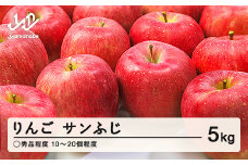 【先行予約】りんご サンふじ ◯秀品程度 約5kg(10~20個程度)  2025年産 山形県産 甘い シャキシャキ 食感 リンゴ 林檎 フルーツ 果物 果樹 ※沖縄・離島への配送不可 tf-risfm5