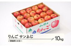 【先行予約】りんご サンふじ ご家庭用 約10kg(24~50玉)  2025年産 山形県産 甘い シャキシャキ 食感 リンゴ 林檎 フルーツ 果物 果樹 ※沖縄・離島への配送不可 tf-risfm10