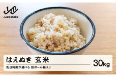 【配送時期が選べる】《先行予約》 2025年産 令和7年産 山形県産 はえぬき 玄米 30kg（段ボール箱入り）（2025年11月後半にお届け）お米 ブランド米 こめ コメ ※沖縄・離島への配送不可 ff-hagxb30-11s