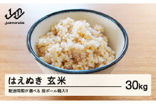 【配送時期が選べる】《先行予約》 2025年産 令和7年産 山形県産 はえぬき 玄米 30kg（段ボール箱入り）（2026年2月後半にお届け）お米 ブランド米 こめ コメ ※沖縄・離島への配送不可 ff-hagxb30-2s