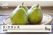 【先行予約】山形県産 西洋梨(ラ･フランス) 令和7年産 5kg tu-laxxx5 ※沖縄・離島配送不可