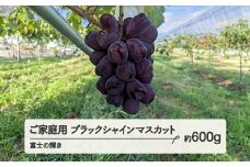 《先行予約》2025年 山形県山辺町産 ご家庭用　ブラックシャインマスカット（約600g）富士の輝 ぶどう 1房 令和6年産 2025年産 果物 フルーツ 2025年9月下旬から順次発送 bg-bufkk600