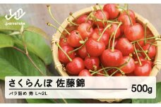 ≪先行予約≫ 2025年 山形県産 さくらんぼ 佐藤錦 バラ詰め 500g 秀 L～2L混合 2025年6月中旬頃から順次発送 サクランボ フルーツ くだもの 果物 ※沖縄・離島への配送不可  ot-snsbx500