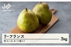 【先行予約】山形県産 ラ・フランス 秀 2L～5L  3kg (8~11個入り) nf-lasyx3