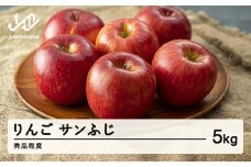 《先行予約》2025年 山形県産 サンふじ りんご 5kg（15玉程度） 秀品  ※沖縄・離島への配送不可 sa-risfs5