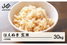  2025年 令和7年産 山形県産 はえぬき 玄米 30kg お米 米 ブランド米 こめma-hagxb30 ※沖縄・離島への配送不可