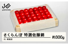 《先行予約》2025年 山形県産 特選佐藤錦 桐箱詰め 約300g 2L やまのべ多田耕太郎のさくらんぼ サクランボ tn-snxxk300
