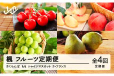 【先行予約】【秋始まり】楓 フルーツ 定期便 全4回 ラ・フランス さくらんぼ 佐藤錦  もも 白桃 ぶどう シャインマスカット ギフト 果物 2025年産 2026年産 山形県産 mm-ft4xx