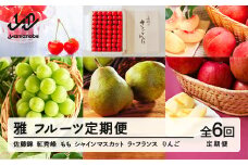 【先行予約】雅 フルーツ 定期便 全6回 さくらんぼ 佐藤錦 紅秀峰 もも 白桃 ぶどう シャインマスカット ラ・フランス りんご サンふじ 特秀 桐箱 ギフト 果物 2025年産 令和7年産 山形県産 mm-ft6my
