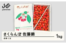 【先行予約】 さくらんぼ 佐藤錦 赤秀 L玉 1kg バラ詰 ご家庭用 2026年産 令和8年産 山形県産 mm-snalx1000