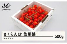 先行予約 さくらんぼ 佐藤錦 秀品 L玉 500g バラ詰 2026年産 令和8年産 山形県産 mm-snbax500