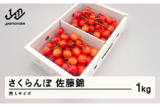 先行予約 さくらんぼ 佐藤錦 秀品 500g×2パック L玉 2026年産 令和8年産 山形県産 mm-snpsx1000