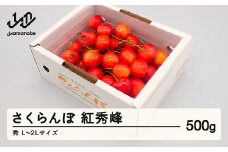 【先行予約】さくらんぼ 紅秀峰 秀品 L-2L玉 500g バラ詰 2026年産 令和8年産 山形県産 mm-bsbax500