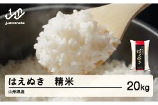 米 はえぬき 精米 20kg 令和6年産 2024年産 山形県産 tf-hasxb20