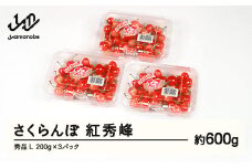【ふるさと納税】先行予約 さくらんぼ 紅秀峰 秀品 L 約600g 令和7年産 2025年産 山形県産 フルーツ 果物 tf-bspsl600