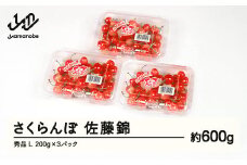 【ふるさと納税】先行予約 さくらんぼ 佐藤錦 秀品 L 約600g 令和7年産 2025年産 山形県産 フルーツ 果物 tf-snpsl600