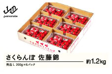 【ふるさと納税】先行予約 さくらんぼ 佐藤錦 秀品 L 約1.2kg 令和7年産 2025年産 山形県産 フルーツ 果物 tf-snpsl1200