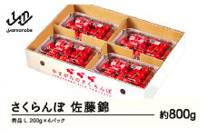 【ふるさと納税】先行予約 さくらんぼ 佐藤錦 秀品 L 約800g 令和7年産 2025年産 山形県産 フルーツ 果物 tf-snpsl800
