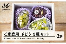 【ふるさと納税】先行予約 ぶどう 富士の輝 シャインマスカット 他1種 3種セット ご家庭用 令和7年産 2025年産 山形県山辺町産 ブラックシャインマスカット フルーツ 果物 bg-bu3xk1800
