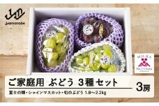 【ふるさと納税】先行予約 ぶどう 富士の輝 シャインマスカット 他1種 3種セット ご家庭用 令和7年産 2025年産 山形県山辺町産 ブラックシャインマスカット フルーツ 果物 bg-bu3xk1800