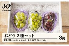 【ふるさと納税】先行予約 ぶどう 富士の輝 シャインマスカット 他1種 3種セット 令和7年産 2025年産 山形県山辺町産 ブラックシャインマスカット フルーツ 果物 bg-bu3xx2000