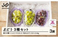 【ふるさと納税】先行予約 ぶどう 富士の輝 シャインマスカット 他1種 3種セット 令和7年産 2025年産 山形県山辺町産 ブラックシャインマスカット フルーツ 果物 bg-bu3xx2000