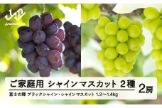 【ふるさと納税】先行予約 ぶどう 富士の輝 約600g シャインマスカット 約600g セット ご家庭用 令和7年産 2025年産 山形県山辺町産 ブラックシャインマスカット フルーツ 果物 bg-bufsk1200