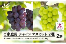 【ふるさと納税】先行予約 ぶどう 富士の輝 約600g シャインマスカット 約600g セット ご家庭用 令和7年産 2025年産 山形県山辺町産 ブラックシャインマスカット フルーツ 果物 bg-bufsk1200