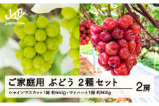【ふるさと納税】先行予約 ぶどう シャインマスカット 約550g マイハート 約500g セット ご家庭用 令和7年産 2025年産 山形県山辺町産 フルーツ 果物 bg-busmk1050