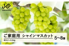【ふるさと納税】先行予約 ぶどう シャインマスカット 5～8房セット ご家庭用 令和7年産 2025年産 山形県山辺町産 フルーツ 果物 bg-busxk3200