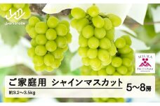 【ふるさと納税】先行予約 ぶどう シャインマスカット 5～8房セット ご家庭用 令和7年産 2025年産 山形県山辺町産 フルーツ 果物 bg-busxk3200