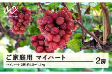 【ふるさと納税】先行予約 ぶどう マイハート 2房セット ご家庭用 令和7年産 2025年産 山形県山辺町産 フルーツ 果物 bg-bumxk1000
