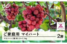 【ふるさと納税】先行予約 ぶどう マイハート 2房セット ご家庭用 令和7年産 2025年産 山形県山辺町産 フルーツ 果物 bg-bumxk1000