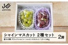 【ふるさと納税】先行予約 ぶどう 富士の輝 約650g シャインマスカット 約600g セット 令和7年産 2025年産 山形県山辺町産 ブラックシャインマスカット フルーツ 果物 bg-bufsx1250