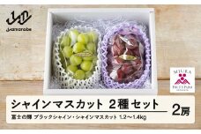 【ふるさと納税】先行予約 ぶどう 富士の輝 約650g シャインマスカット 約600g セット 令和7年産 2025年産 山形県山辺町産 ブラックシャインマスカット フルーツ 果物 bg-bufsx1250