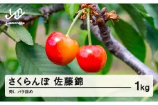 先行予約 さくらんぼ 佐藤錦 秀 L 1kg バラ詰め 令和7年産 2025年産 山形県山辺町産 フルーツ 果物 sa-snbsl1000