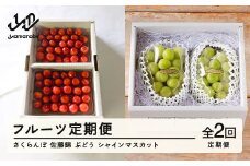 【ふるさと納税】フルーツ定期便 さくらんぼ 佐藤錦 ぶどう シャインマスカット 計2回 令和7年産 2025年産 山形県山辺町産 フルーツ 果物 bg-ftssx2
