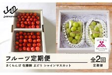 【ふるさと納税】フルーツ定期便 さくらんぼ 佐藤錦 ぶどう シャインマスカット 計2回 令和7年産 2025年産 山形県山辺町産 フルーツ 果物 bg-ftssx2
