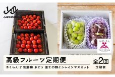 【ふるさと納税】高級フルーツ定期便 さくらんぼ 佐藤錦 ぶどう 富士の輝 シャインマスカット 計2回 令和7年産 2025年産 山形県山辺町産 ブラックシャインマスカット フルーツ 果物 bg-ftsfs2