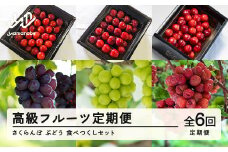 【ふるさと納税】「高級フルーツ定期便６回」　山形県山辺町産　さくらんぼ＆ぶどう　食べつくしセット 令和7年産 2025年産 山形県山辺町産 フルーツ 果物 bg-ftsbx6