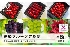 【ふるさと納税】「高級フルーツ定期便６回」　山形県山辺町産　さくらんぼ＆ぶどう　食べつくしセット 令和7年産 2025年産 山形県山辺町産 フルーツ 果物 bg-ftsbx6