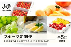 【先行予約】【秋始まり】フルーツ定期便 全5回 令和7年産 令和8年産 ラフランス ラ・フランス りんご サンふじ シナノゴールド さくらんぼ 佐藤錦 白桃 ぶどう シャインマスカット 果物 送料無料 ns-ft5xx-a ※沖縄及び離島への配送不可