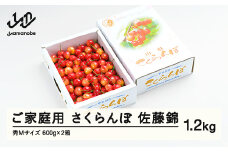 《先行予約》 さくらんぼ 佐藤錦 秀Mサイズ ご家庭用 バラ詰め 1.2kg(600g×2箱) 2026年産 令和8年産 山形県産 ns-snsmb1200