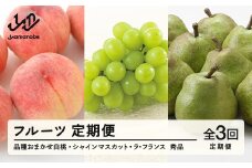 【先行予約】【定期便】フルーツ定期便 全3回 白桃 ブドウ ぶどう 葡萄 シャインマスカット ラフランス ラ・フランス tf-ft3hbl