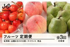 【先行予約】【定期便】フルーツ定期便 全3回 さくらんぼ 紅秀峰 白桃 ラ・フランス tf-ft3shl