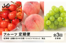 【先行予約】【定期便】フルーツ定期便 全3回 さくらんぼ 紅秀峰 白桃 葡萄 ぶどう ブドウ シャインマスカット tf-ft3shb