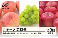 【先行予約】【定期便】フルーツ定期便 全3回 白桃 葡萄 ブドウ ぶどう シャインマスカット 林檎 りんご サンふじ tf-ft3hbr