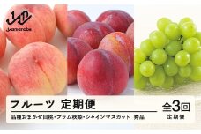 【先行予約】【フルーツ定期便】品種おまかせ白桃・プラム秋姫・シャインマスカット 秀品 全3回 tf-ft3hpb