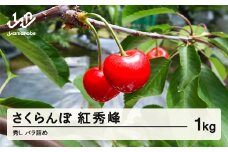 【先行予約】2025年 山形県産さくらんぼ 紅秀峰 秀L 1kg バラ詰め　sa-bsslb1000
