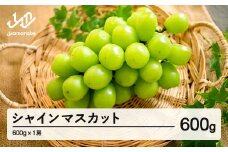 《先行予約》ぶどう シャインマスカット 秀品 1房（約600g）令和7年産 2025年産 山形県産 果物 送料無料 ns-busmx600 ※沖縄・離島への配送不可